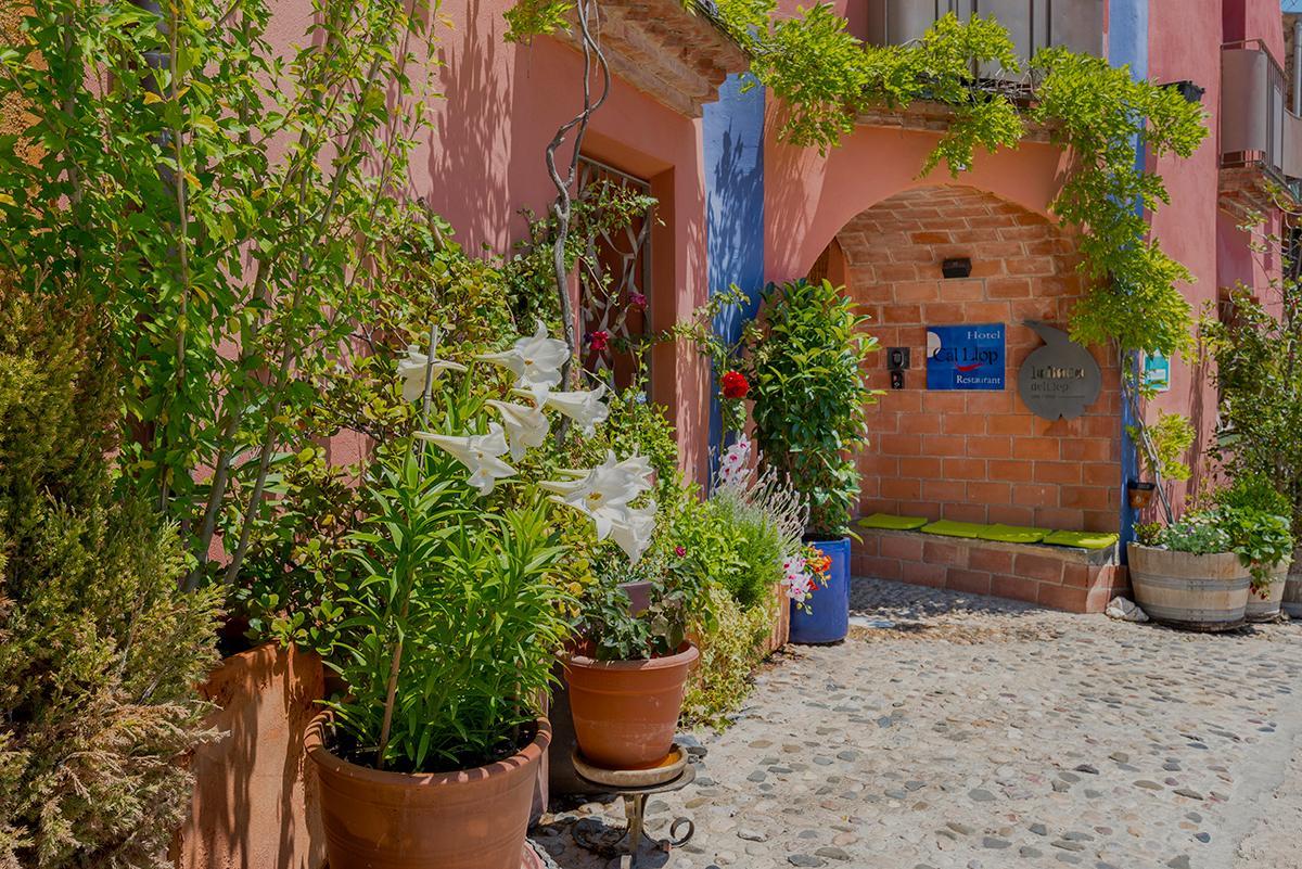 Hotel Cal Llop Gratallops Dış mekan fotoğraf